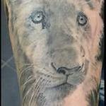 Tattoos - The Lion Michael - 100042